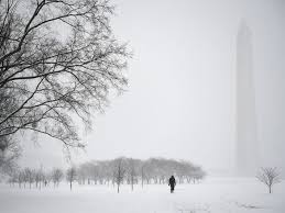 Winter Snowstorm Jonas pounded the D.C. area, cancelling more than a whole week of school. 