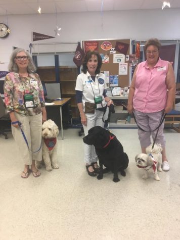 Therapy Dogs Doing Wonders