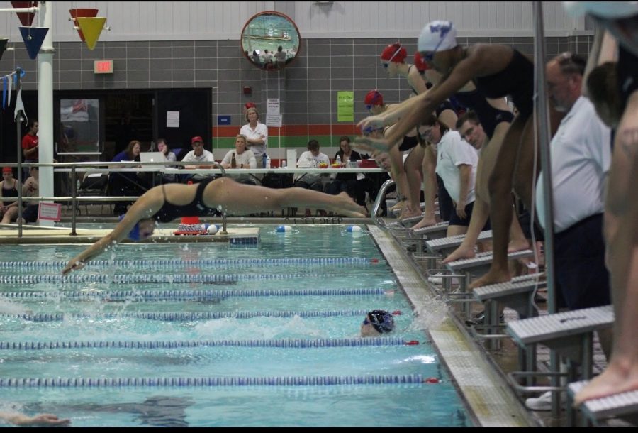 Skopp-Cardillo diving into the pool for a swimming race.