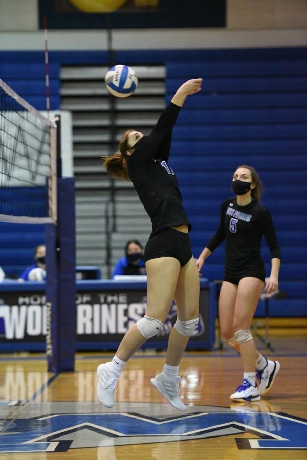 West Potomac Serves Up Hayfield in Thrilling Victory - Volleyball