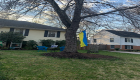 Local Home supports Ukraine by flying the flag.
Photo Credit: Carlie Erlandson
