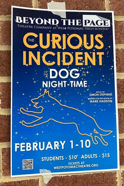 Curious about the Incident of the Dog in the Night-Time?