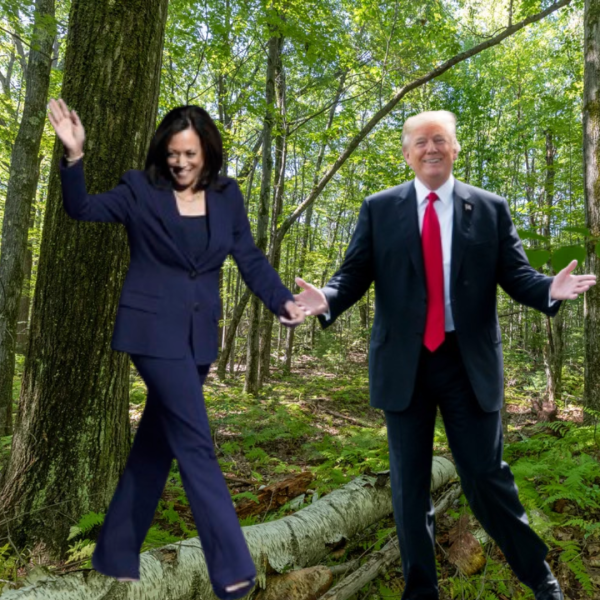 Donald Trump and Kamala Harris enjoy some time outside while questions on their environmental views are still at large.